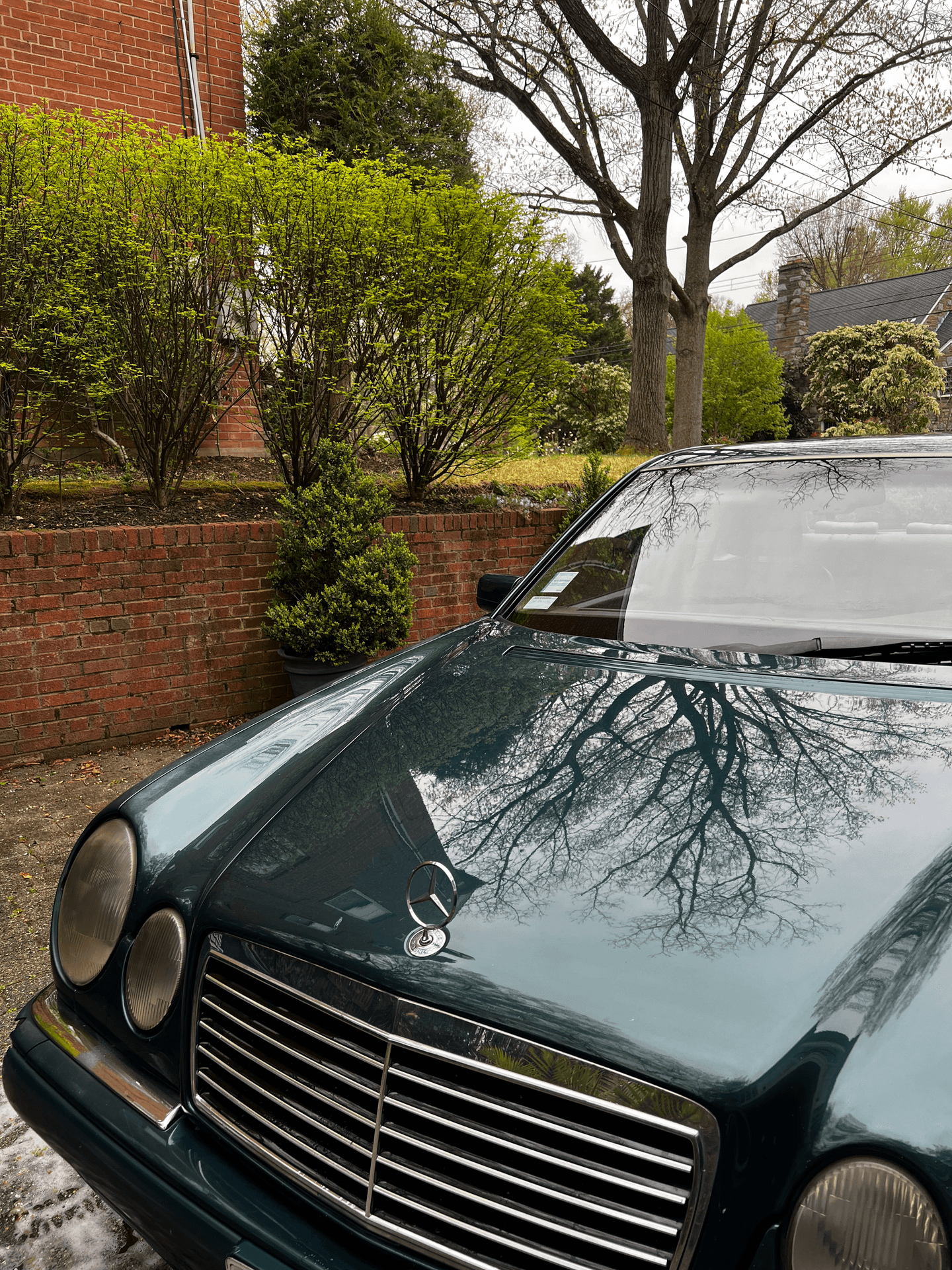 Comprehensive Exterior Detailing